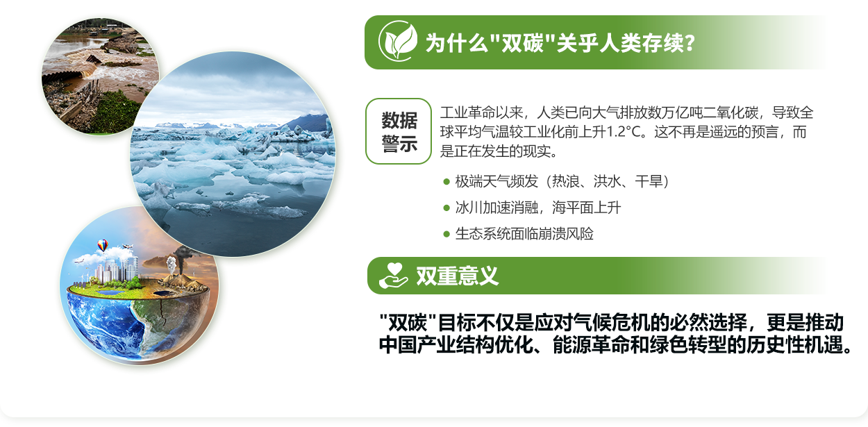 为什么“双碳”关乎人类存续